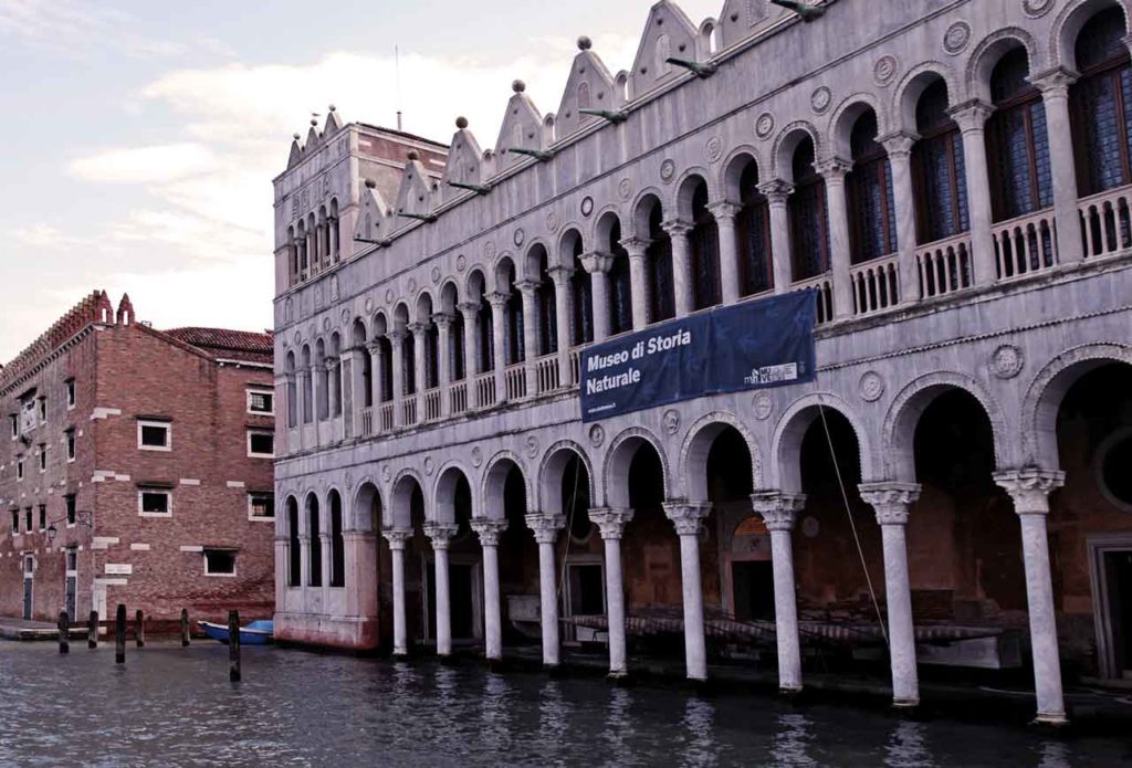 Museum in Venedig mit Kindern