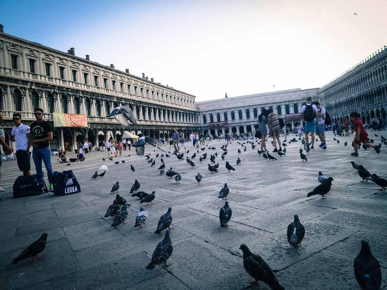 Der Markusplatz In Venedig - Anfahrt, Tipps, Infos & Hinweise